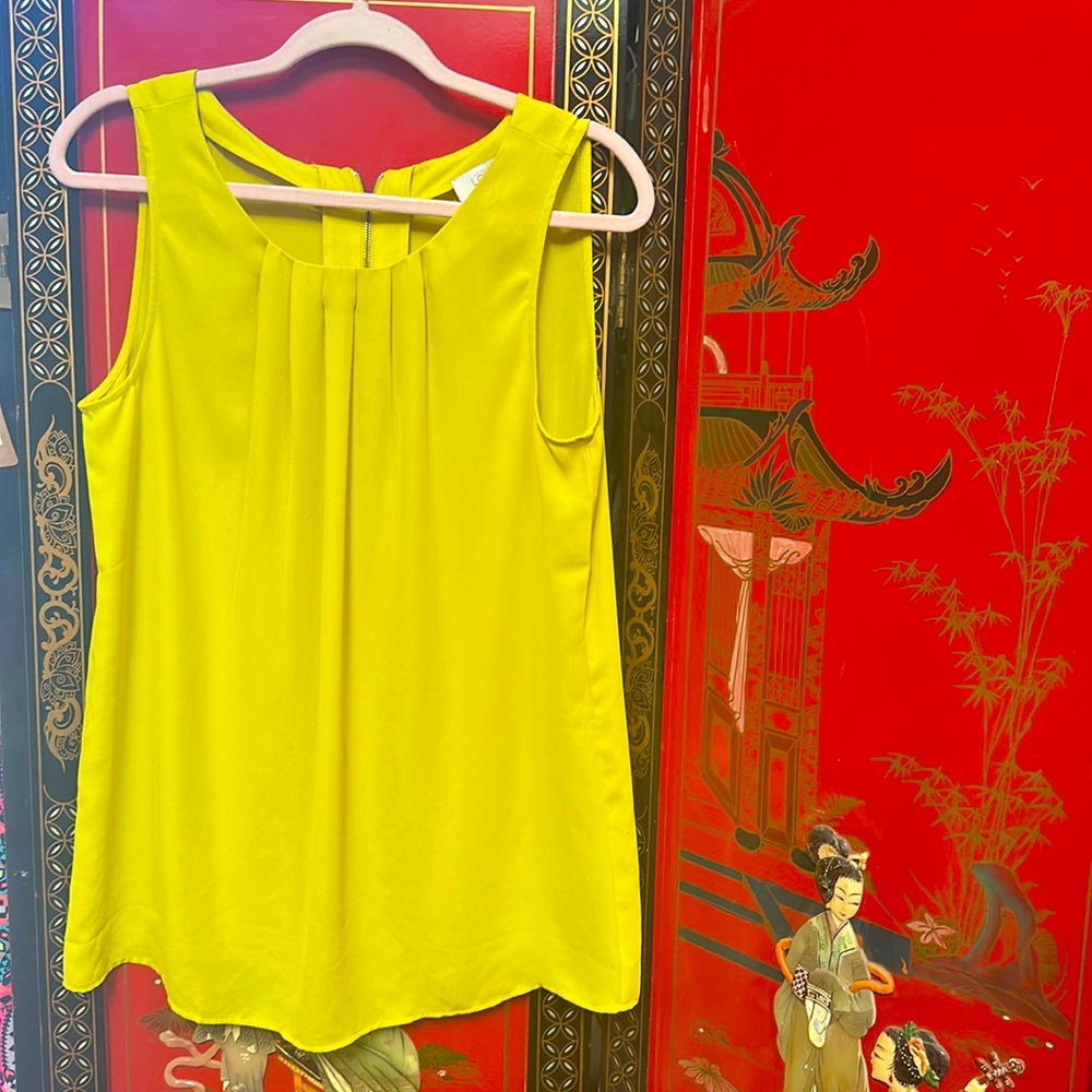 Loft sheer sleeveless blouse